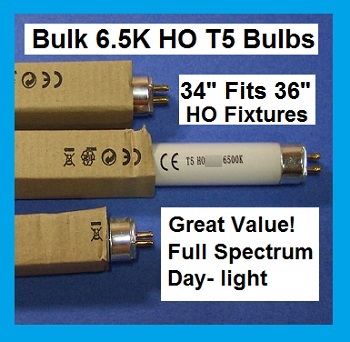 t5 bulb 34 36.jpg