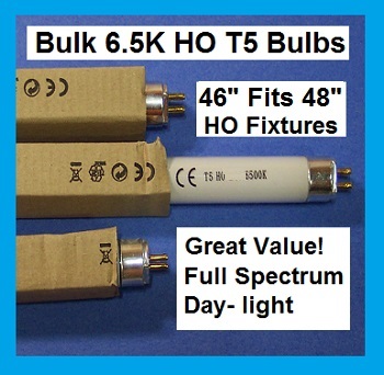 t5 bulb 46 48.jpg