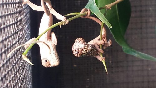 20130620_075138.jpg 20130620_075138.jpg
