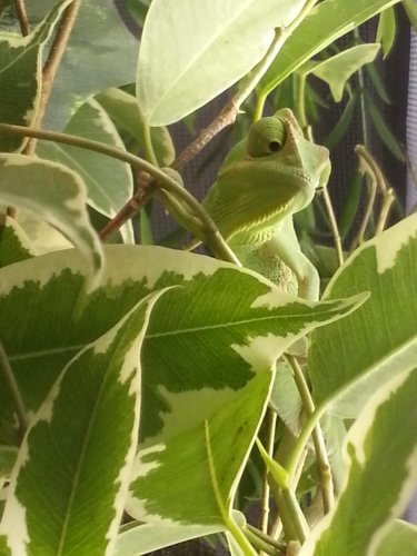 20130612_071653.jpg