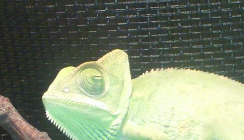 2013-06-23_13-52-00_860.jpg 2013-06-23_13-52-00_860.jpg
