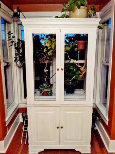 2013-06-29 21.52.46.jpg