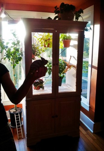 2013-06-30 20.58.00.jpg