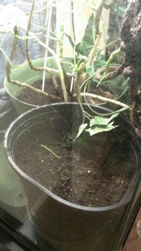 2013-07-05 17.13.37.jpg