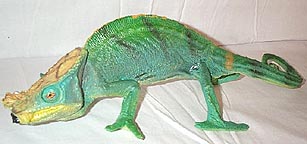 chameleon-parsons.jpg