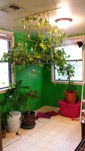 20130715_085943.jpg 20130715_085943.jpg