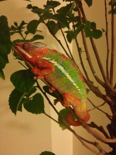 photo (33).jpg