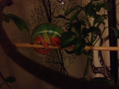 photo (35).jpg