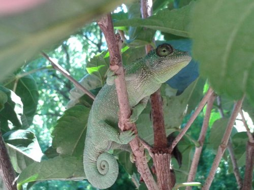 2013-07-25 15.37.33.jpg