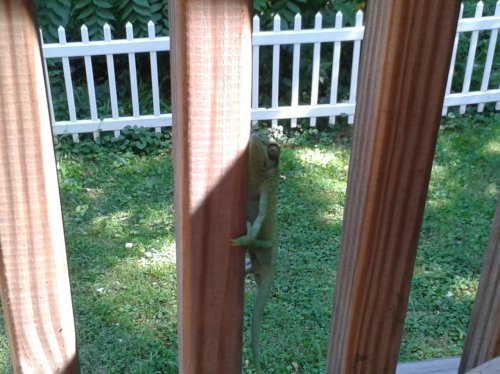 2013-07-25 15.25.30.jpg