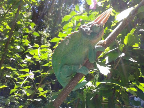 2013-07-25 14.01.39.jpg