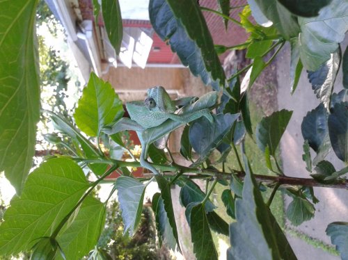 2013-07-25 17.44.08.jpg