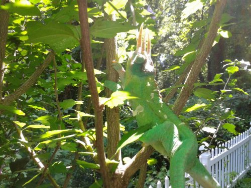 2013-07-25 14.39.51.jpg