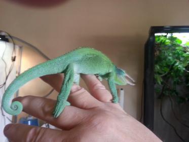 20130727_101028.jpg