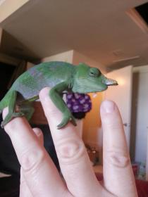 20130727_131328.jpg
