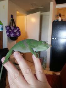 20130727_131319.jpg