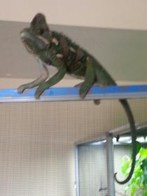 20130727_132332.jpg