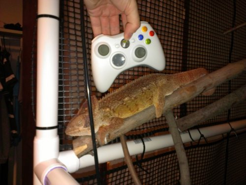 2013-07-27 21.50.15.jpg