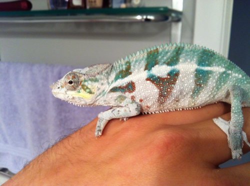 ambanja5 month old.jpg