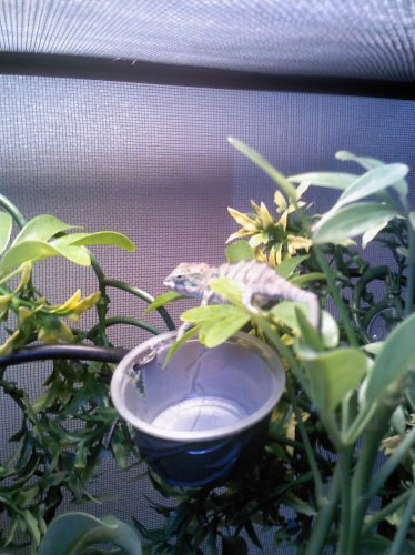 2013-07-28 19.43.21.jpg