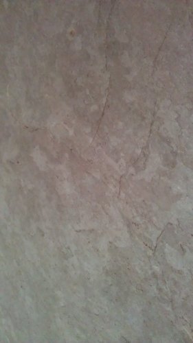 IMAG0156.jpg