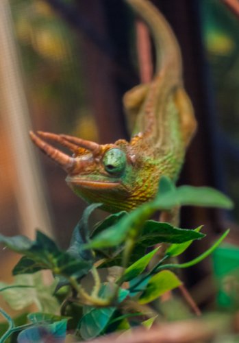 DSC_2719.jpg
