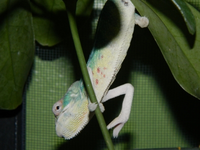 DSCN1129.jpg