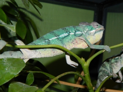 DSCN1135.jpg