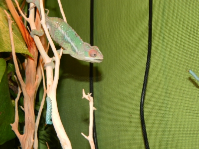 DSCN1139.jpg