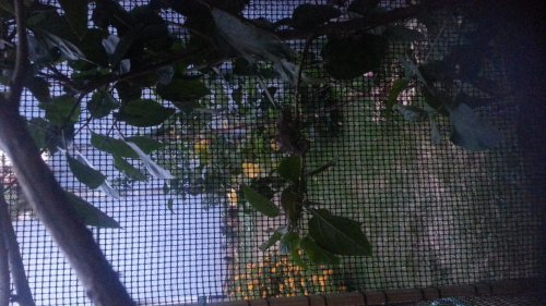 20130819_190326.jpg