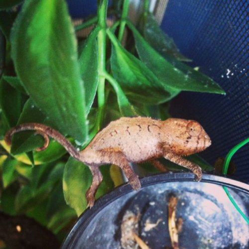 2 chammy 8.20.13.JPG