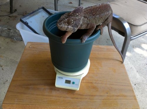 2013-08-25 14.35.21.jpg