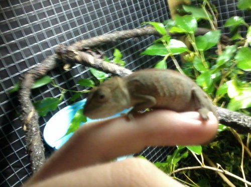 2013-08-26 001 019.jpg