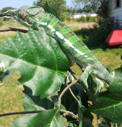 20130825_144833-1.jpg