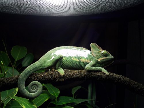 2013-08-29 20.58.46.jpg