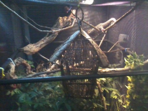 Photo1532.jpg