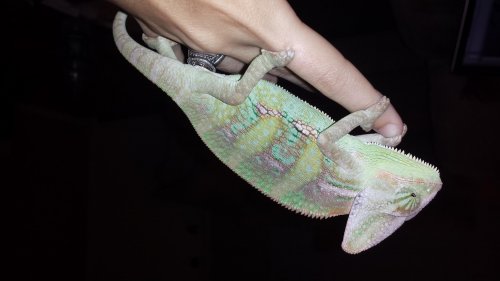 20130901_204750.jpg