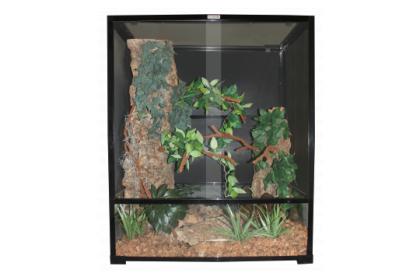 82120- Chameleon viv.jpg