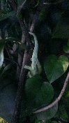 WP_20130908_001.jpg