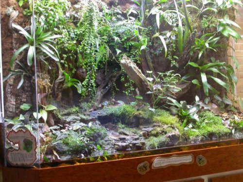 Hockaday_School_vivarium2_002.jpg Hockaday_School_vivarium2_002.jpg