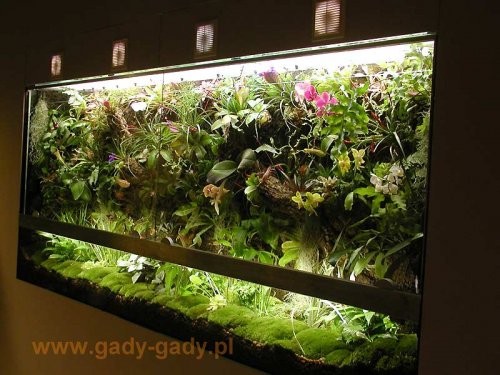 vivarium-kaz.jpg vivarium-kaz.jpg