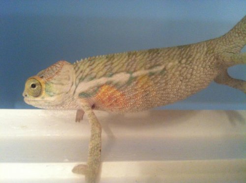 securedownload (2).jpg