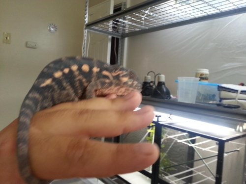 20130911_145115.jpg