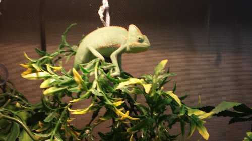 20130915_110756.jpg