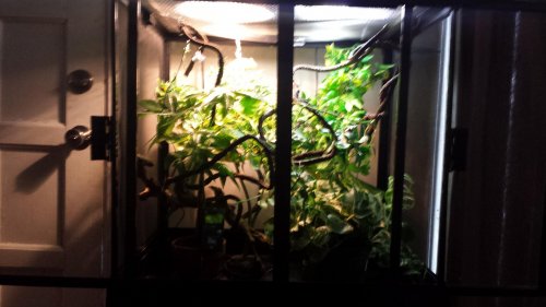 20130915_110735.jpg