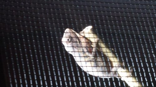 20130914_174056.jpg