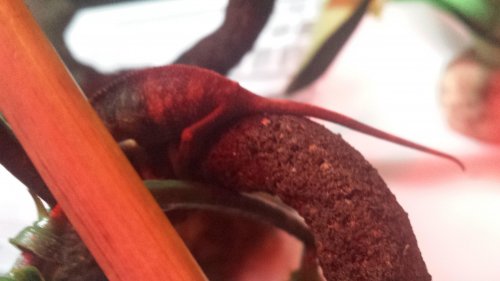 20130915_182822.jpg