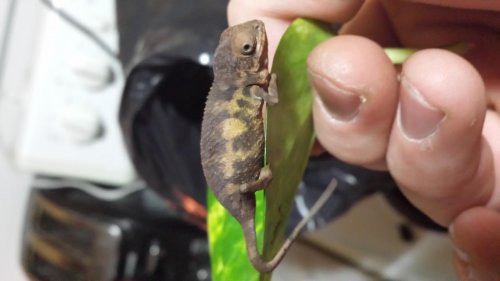 20130916_194330.jpg
