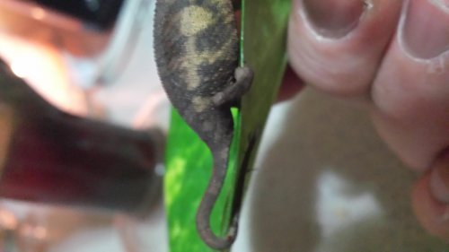 20130916_194357.jpg