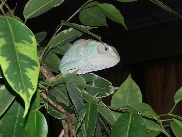 20130922_110526.jpg